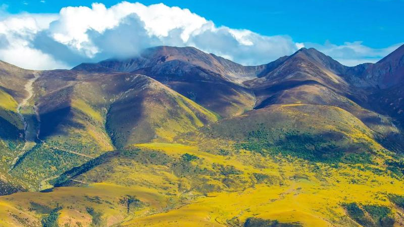 跌落谷底的中年人什么时候能东山再起