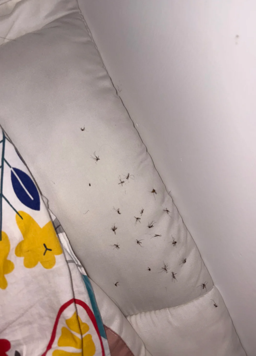 晚上点了一盘蚊香，大半夜醒来给我看的头皮发麻