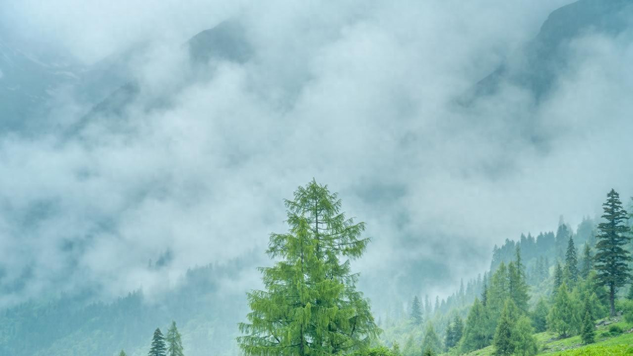 三边封车缝棉浆纤维棉纸袋FSC可回收可降解精密仪器袋电子元件袋