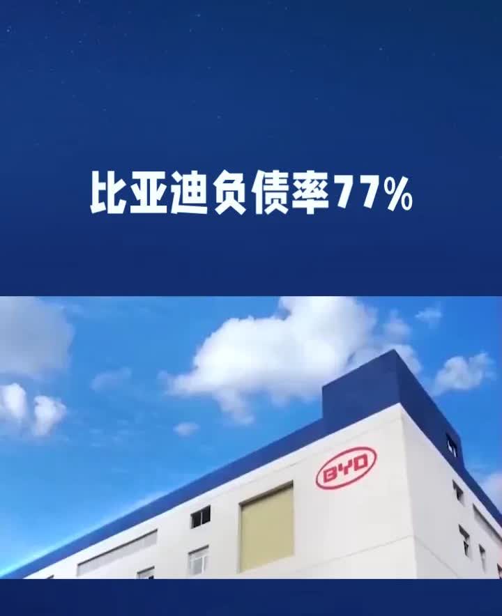 比亚迪我成了‘恒大’了？
        比亚迪赚钱能力相当惊人。2024年财