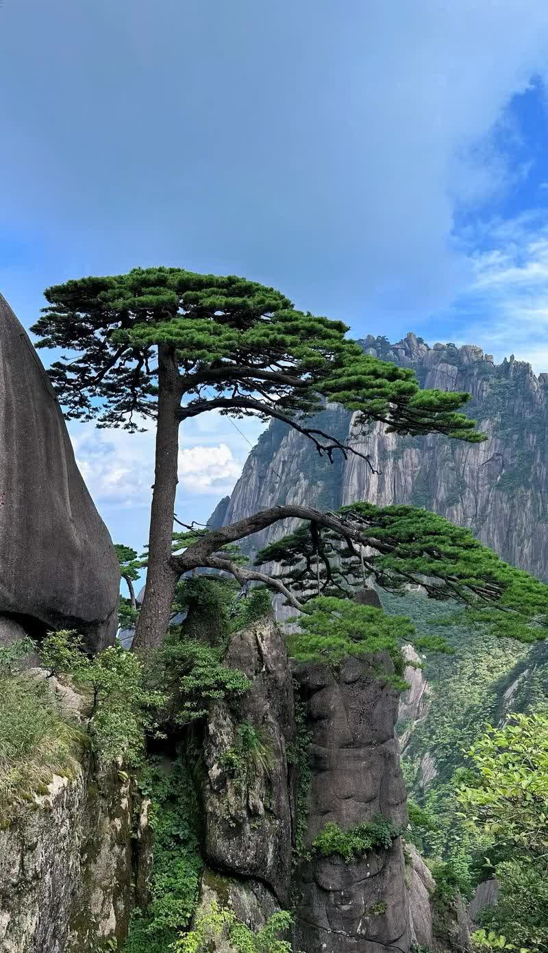 五月的黄山音乐节众星齐聚，大咖云集，音乐会现场表演彻底征服了来寻找“精神乌托邦”