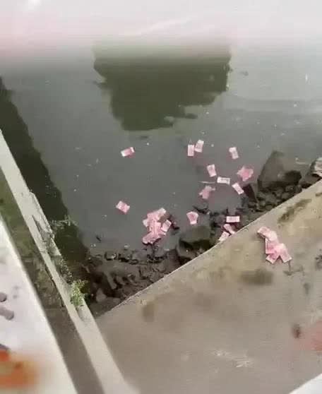 深圳某河道，暴雨后竟漂浮大量成扎现金！一男子发现后，涉水捡拾多捆钞票。画面显示，