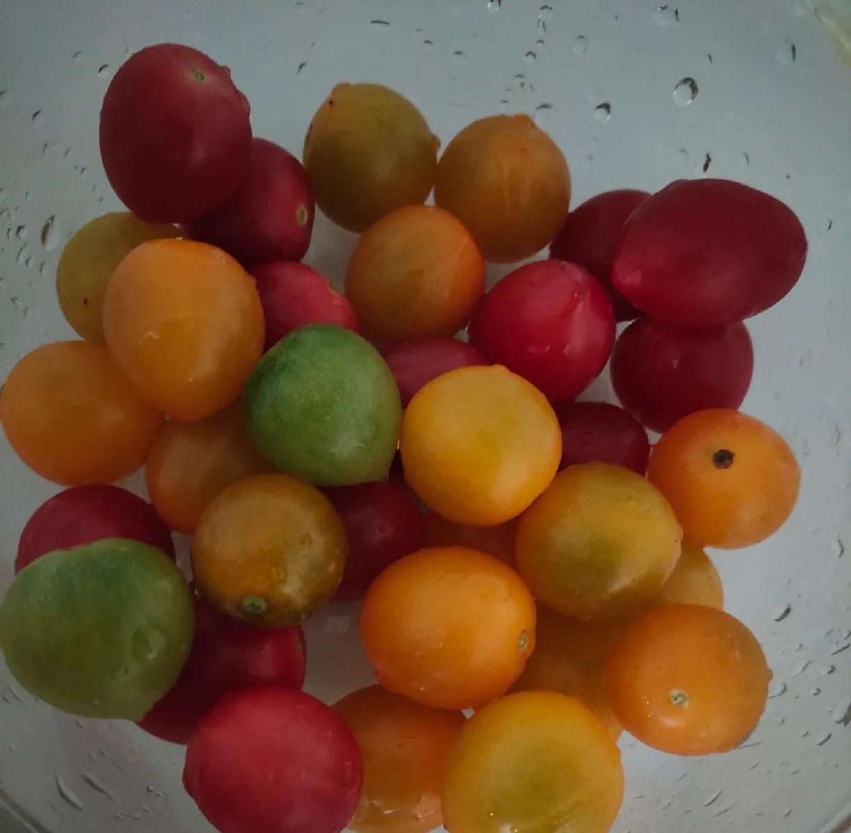 三种颜色，三种口味，买了一箱小番茄，里面有三种颜色，绿色，黄色，红色，本来以为以