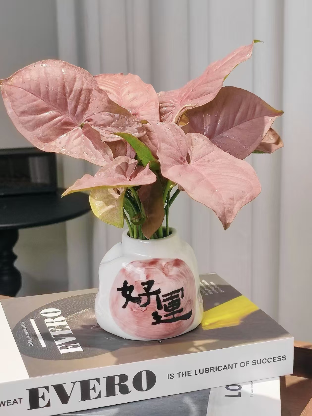 合果芋特别怕冷，想让它安全过冬，关键就是控温、控水，再给点阳光。