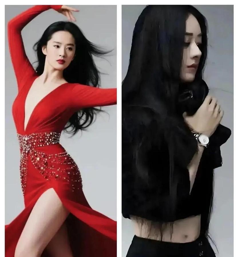 天！这哪是选女友？这是逼人用凡胎肉身去够神仙日子啊！刘亦菲和赵丽颖两位顶流女神摆