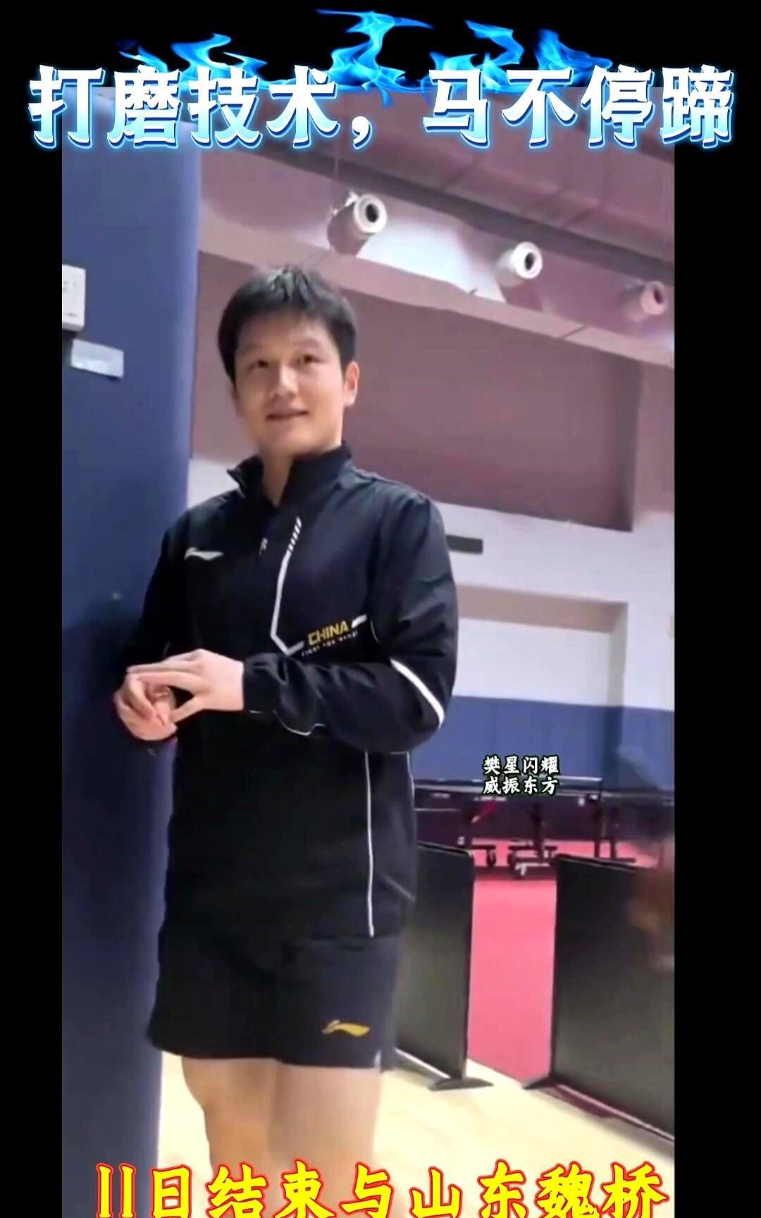 岛主又回上岛训练了，真的沪队好。
说到樊振东的选择去德甲比赛，这步棋走得真对，咱