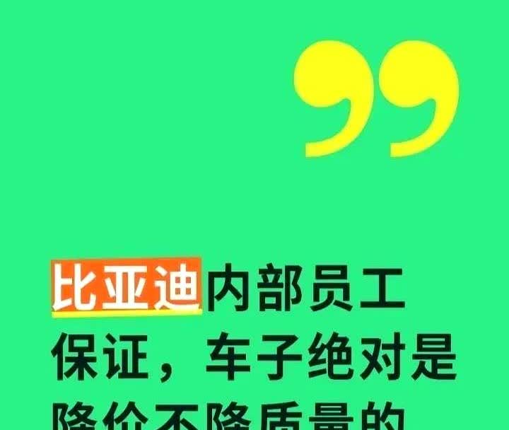 比亚迪员工硬核爆料降价车质量没打折，但咱们的绩效被偷砍了原来四月奖金五十多，五月