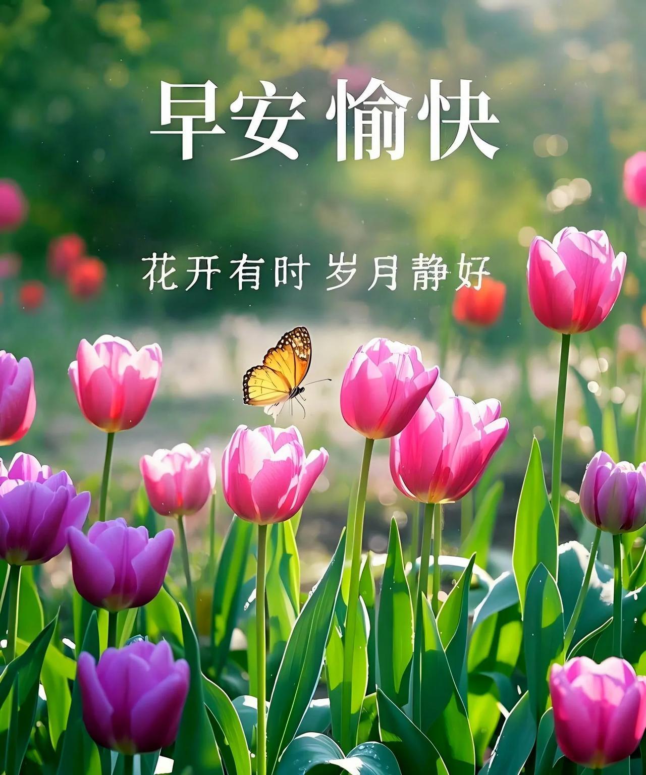 时光轻轻走，温柔慢慢来。别理生活的皱褶，在微风里舒展自己。爱而不得时，学会放手；