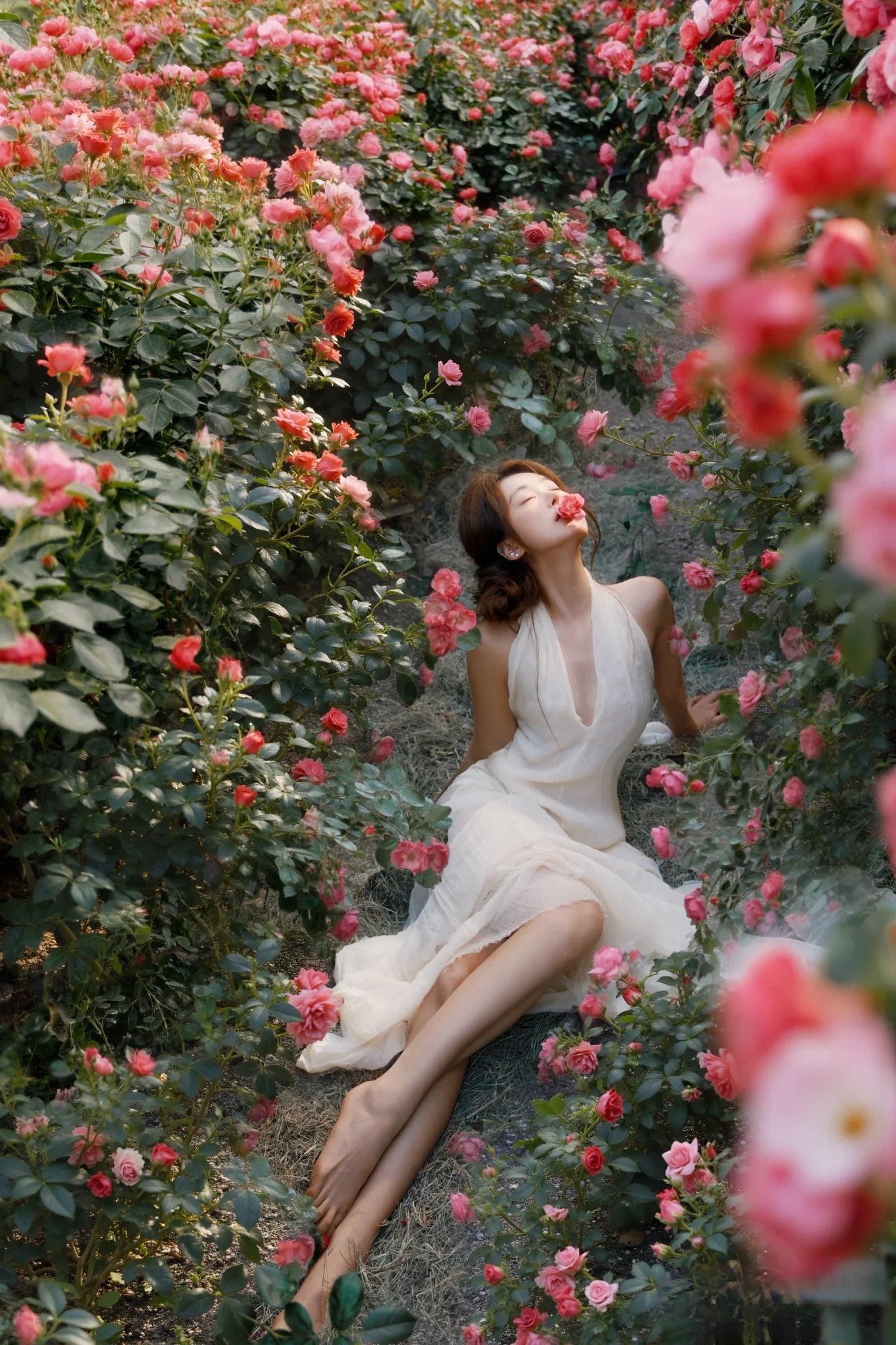 花丛中的美人