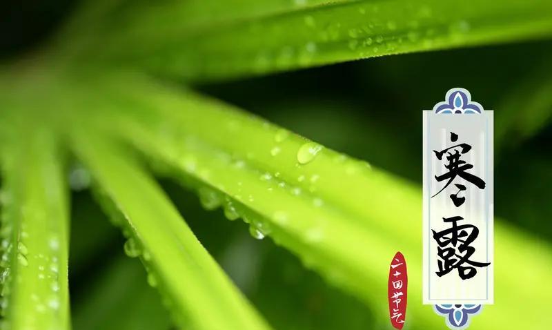 #寒露节气的到来意味着秋天结束了吗# 寒露节气的到来并不意味着秋天结束。寒露一般