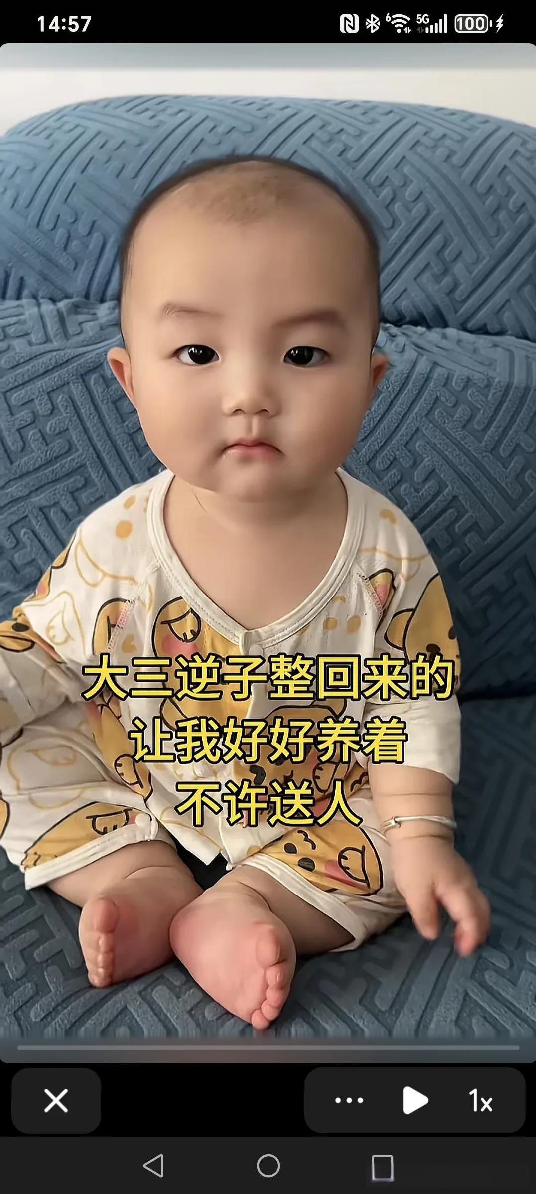 大三逆子整回来的，让我好好养着，不许送人～
惊不惊喜，意不意外。
大三儿子很争气
