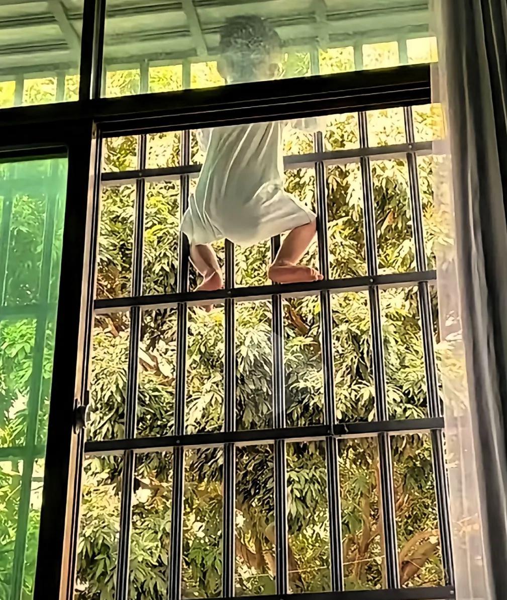 峨眉山的猴子，无师自通……
闺蜜退休就去南方看孙子了，一走就是两年，昨天给我发了