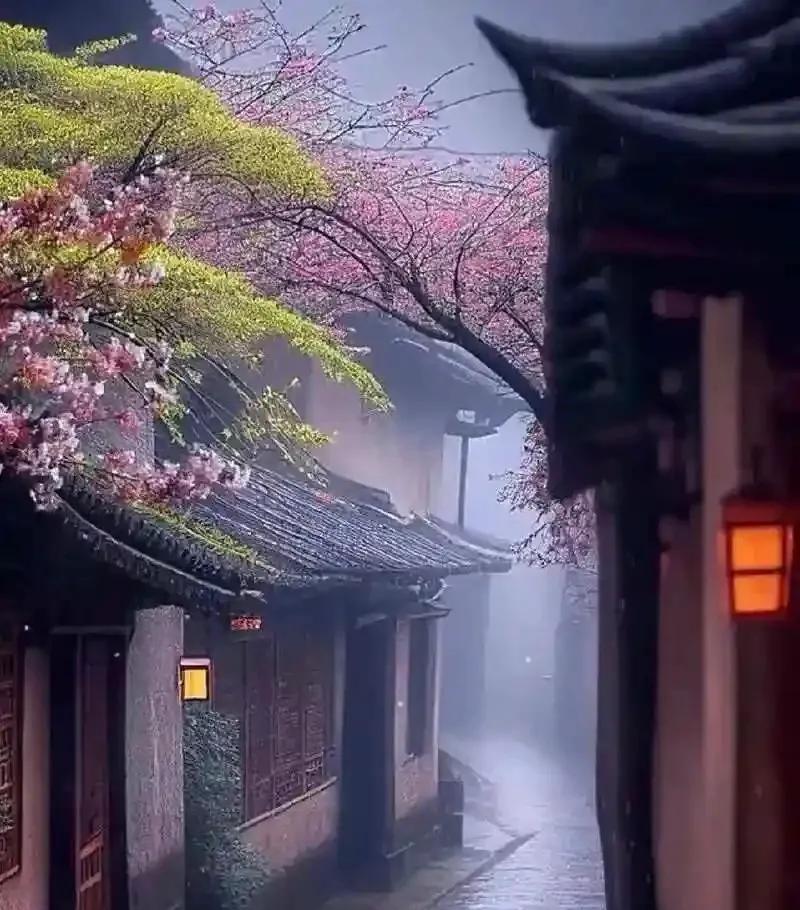 满院潇潇细雨飞，
黄昏风起落芳菲。
寒灯隐约阑珊处，
有客依稀掌伞归。
——作者