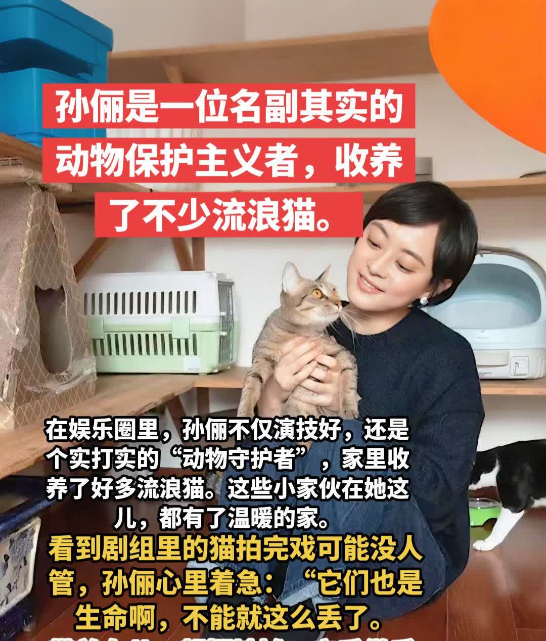 拍戏不忘救猫，孙俪摆摊只为护宠！在娱乐圈里，孙俪不仅演技好，还是个实打实的“动物