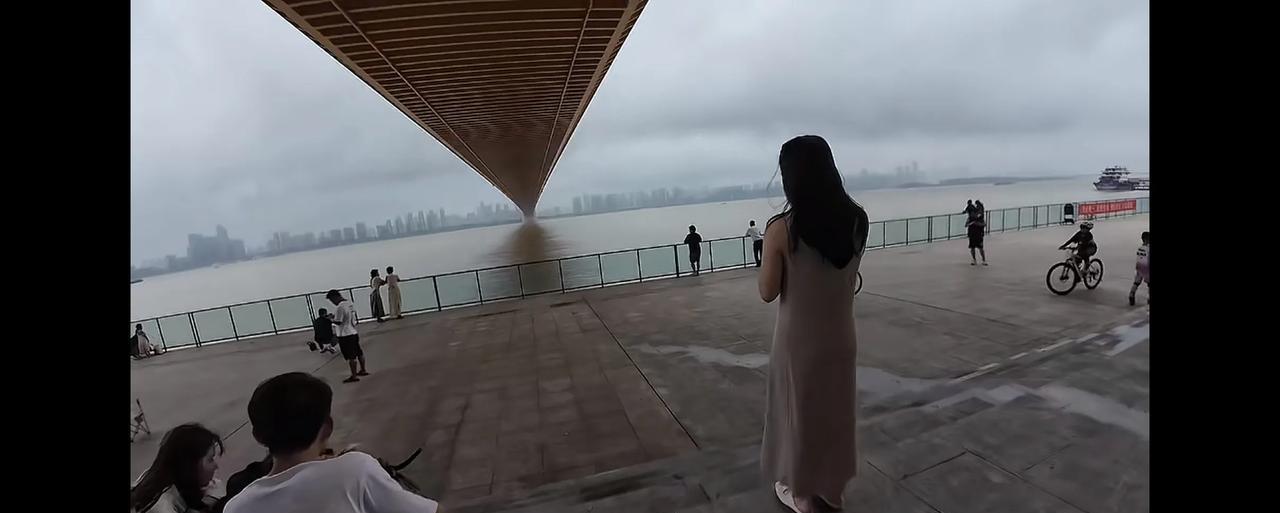 武汉杨泗港大桥的黄金拍照打卡点。现在居然被拦起来收费才能进入。我只想说市政府这么