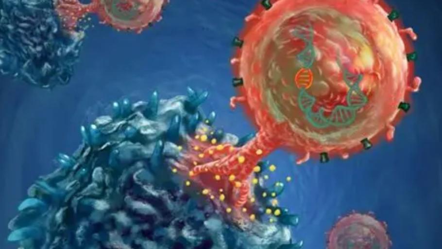 一文读懂 CAR-T 细胞免疫疗法：原理、发展与临床应用