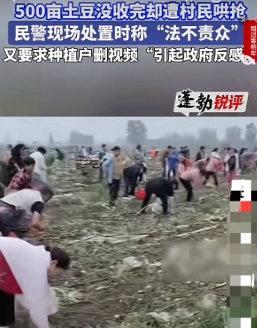 最初看到安徽宿迁村民哄抢土豆的事，还在想为什么种植户一连被抢了4天，每天被抢走的