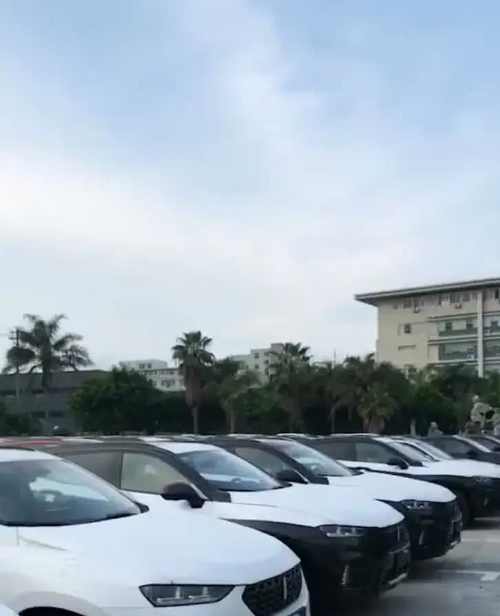 2月份汽车销量只能用惨淡来形容啦！
不是一家比一家好，而是一家比一家差呀，就是