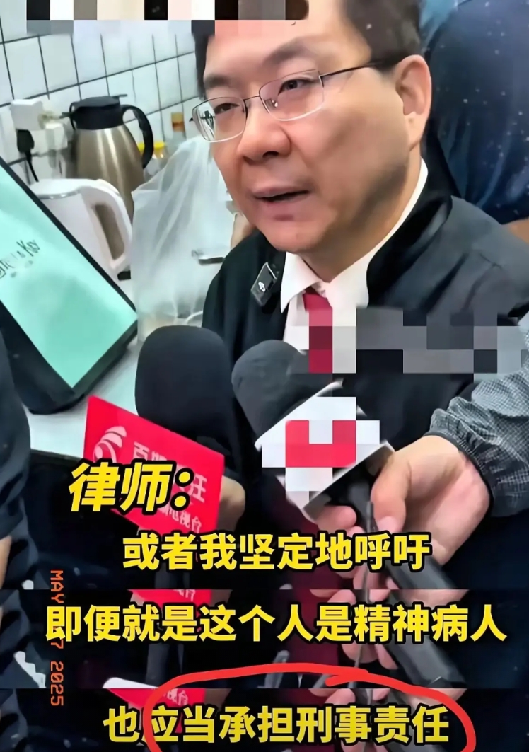 王紫雅母亲请的代理律师，是曾打赢昆山宝马反杀案的臧梵清律师！[赞]在这个案子里，