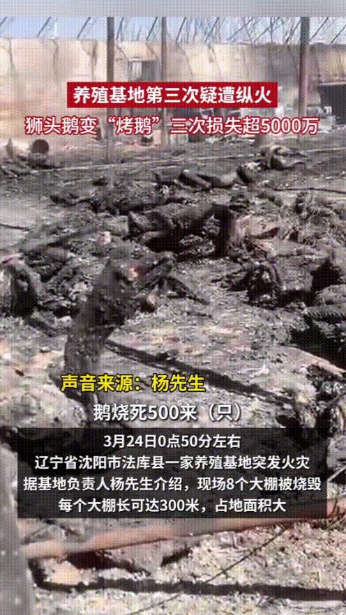“可以一起穷，但不能一个人富！”辽宁沈阳，一养殖基地第3次被纵火，一夜之间烧光了