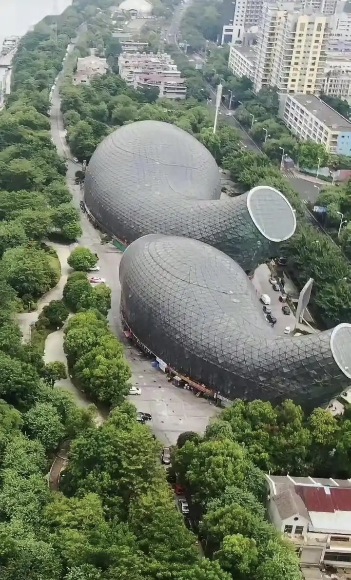 问一下广西的朋友，这是真的吗