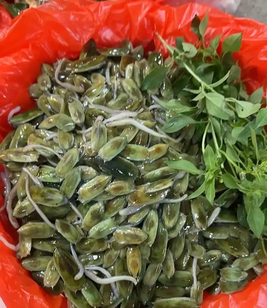 问了一圈没人吃过的美食
大家知道这个叫什么吗？？？
