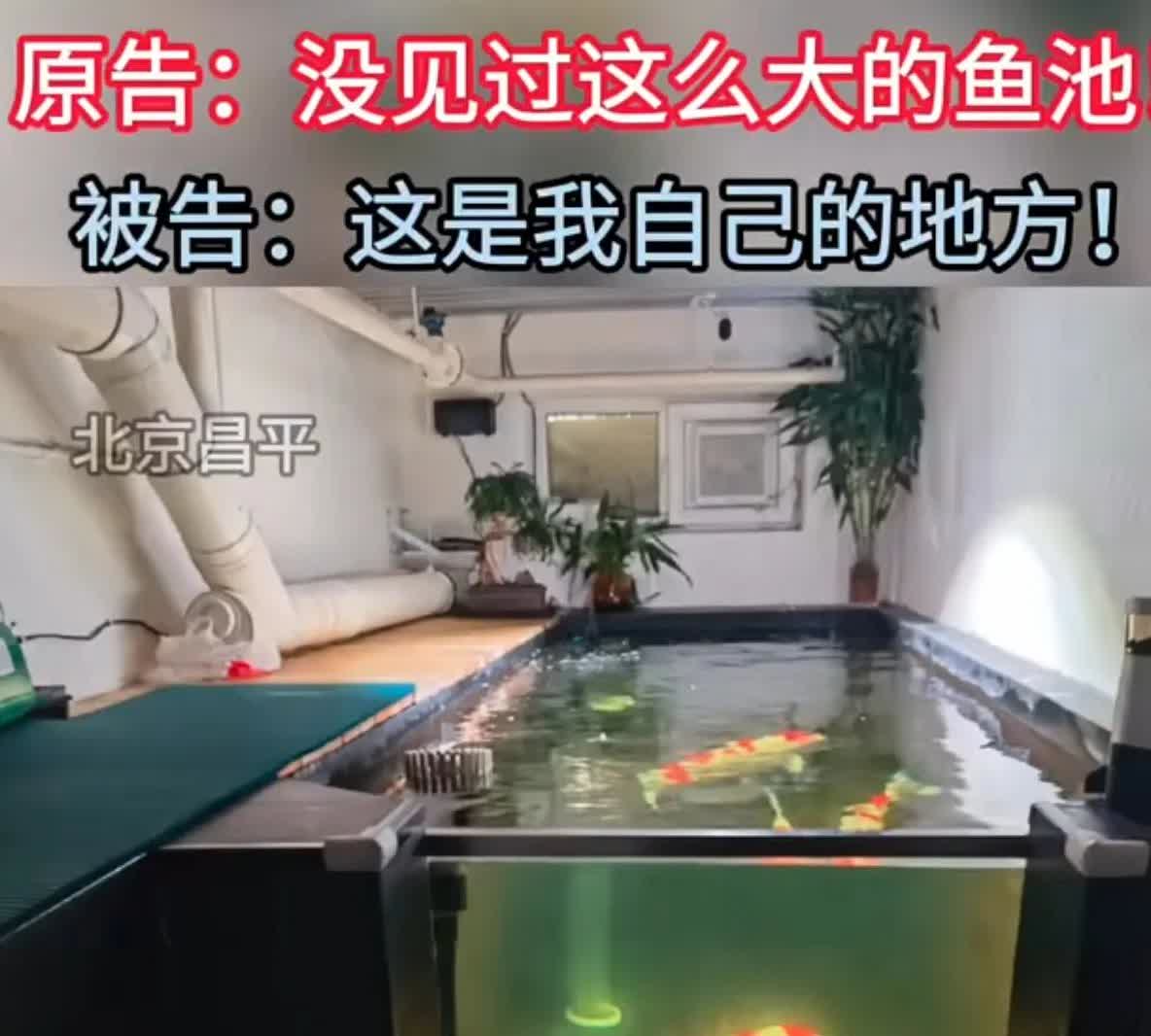 大高层的毛病已经越来越多了！

北京一住户建“鱼塘”，把楼上的住户愁死了。要