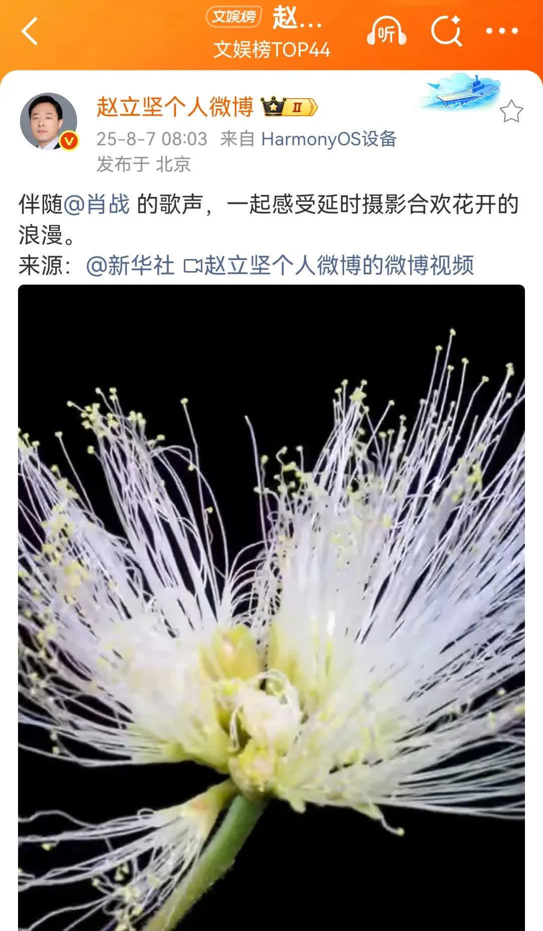 外交部赵立坚发了肖战，他最近的微博活跃得不似本人[捂脸]，我看发了好多艺人的歌，