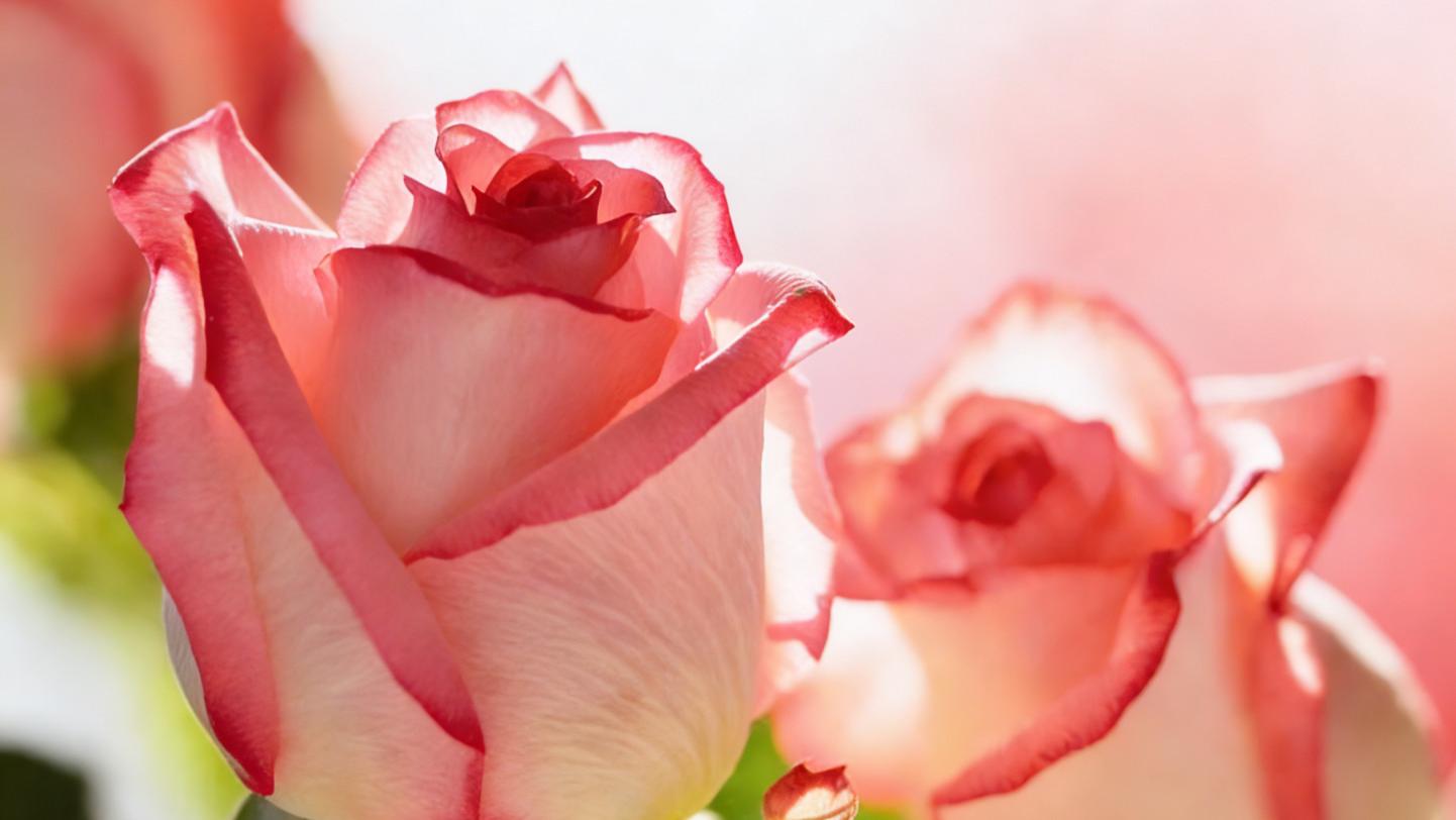 真正爱你的男人，一定会给你这三样东西