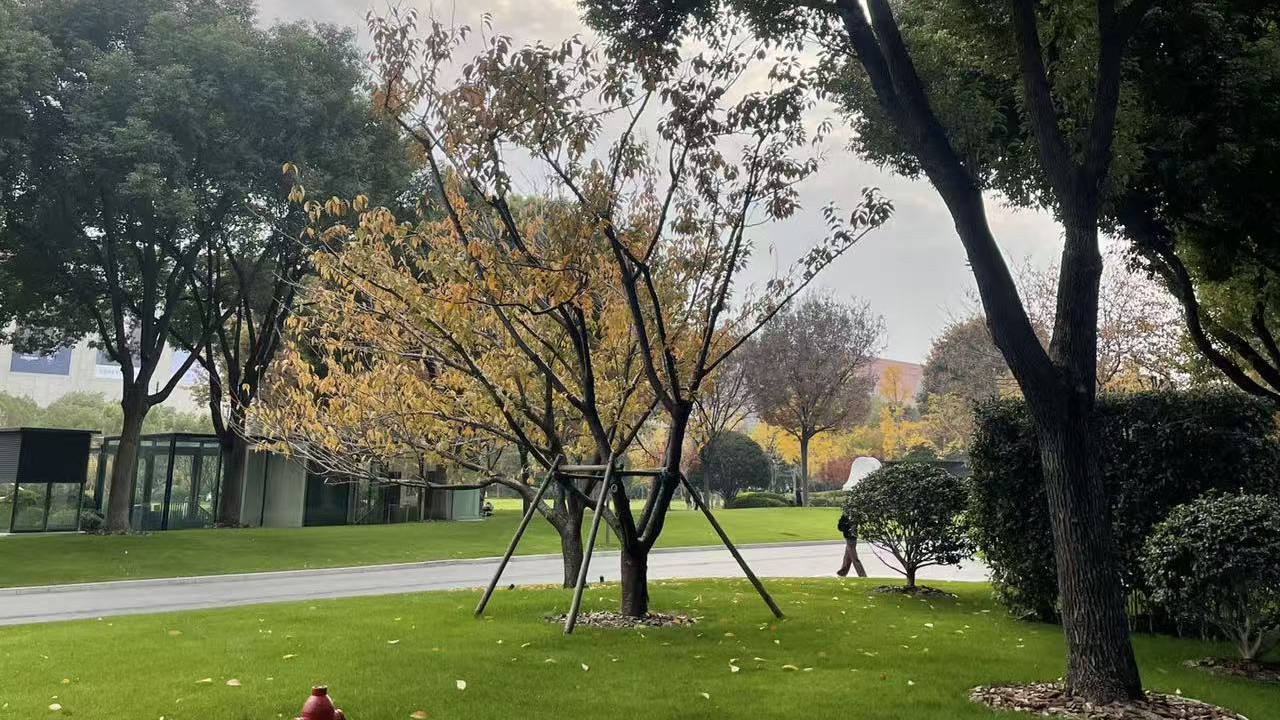 免费课遍地，公司砍培训费：现在的职场人，到底在为什么花钱学习？