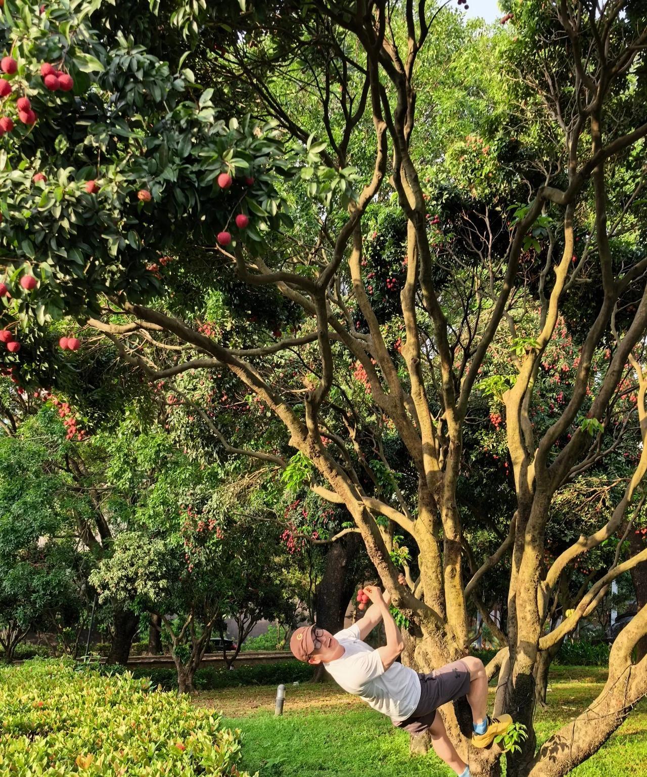 你问我长大了以后，搞科研还是开飞机
你问我成功的定义，是锦旗还是老中医
我说我只
