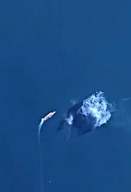 美防长刚说"震慑中国"，巨大爆炸声划破渤海上空，这下美国和菲律宾都安静了：中方不
