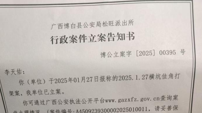 多名有案底人员闯入村中打伤村民全家，公安局法制大队建议定为互殴