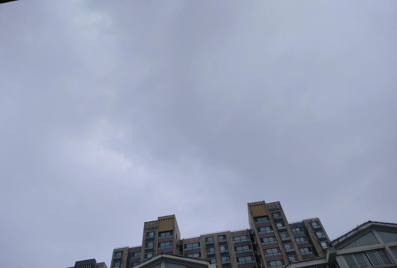 雨要来了，轰隆隆的雷声越来越近了，似乎已经到了头顶上，路边的树木花草都花容色变，