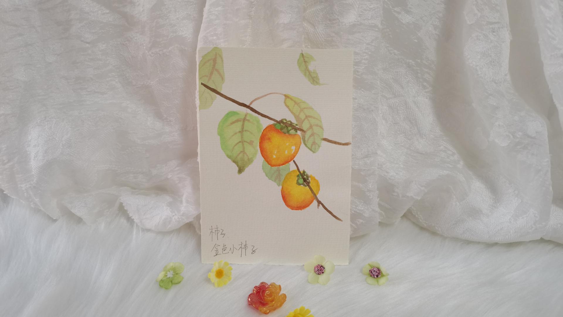 50 柿子（绘画 | 水彩 | 果花甘05）