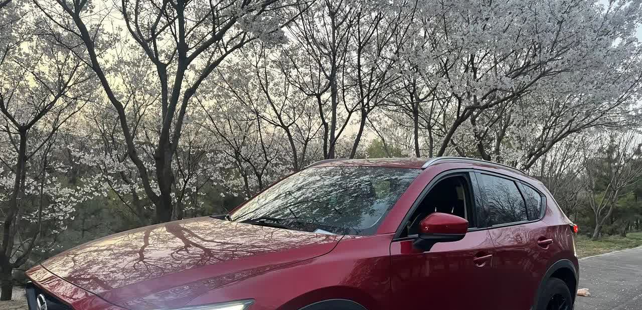 马自达 cx-5，车有即使朋友，哪怕从未见面。但是依然有同一点热爱，爱生活，爱自