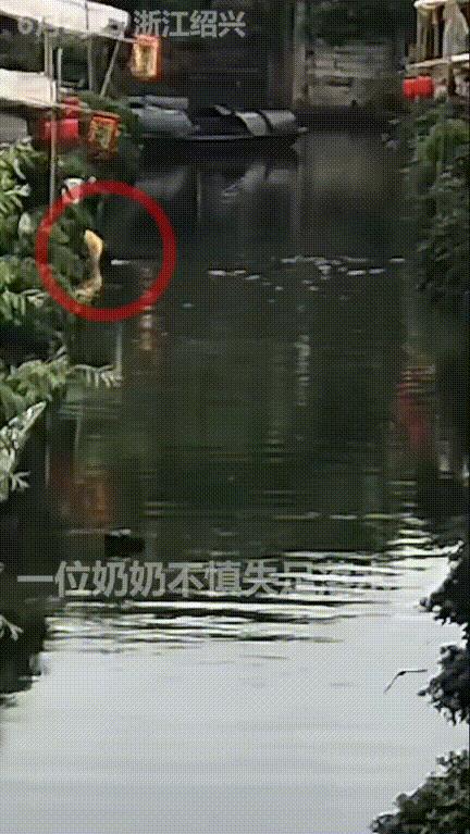 这个俄罗斯女孩火到人民日报了！留学生莎河娜斯在古巷边正放松呢，突然看见一位奶奶在