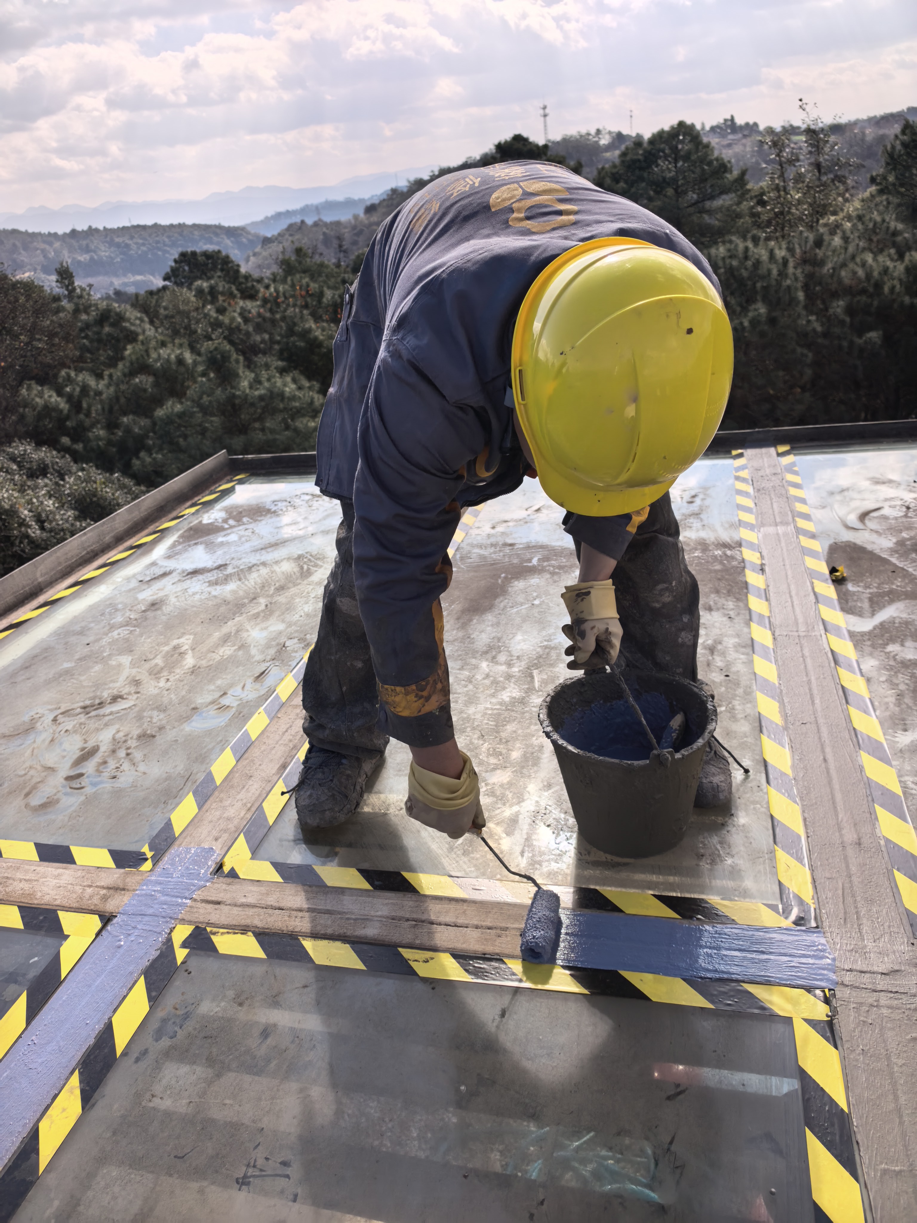 梅雨季墙面‘流汗’，向日葵的除湿方案绝了！