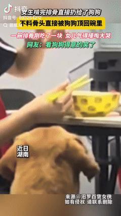 “真成精了？”湖南一女孩啃完排骨上的肉后，将骨头丢给了狗狗，没想到骨头被狗狗顶回