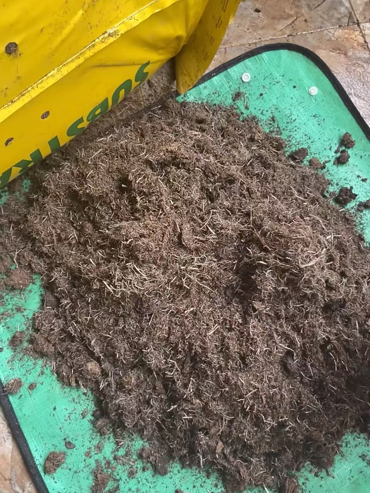 经常有台友留言，啥是泥炭土？