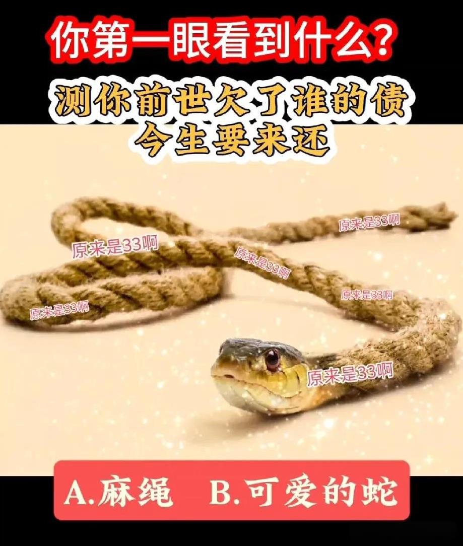测你前世欠了谁的债
今生要来还
A.麻绳 
B.可爱的蛇
#心理测试# #心理测