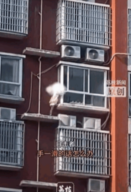 “太吓人了！”湖南，一女子发现对面楼层，有一位小女孩从12楼窗户爬到窗台上，女子