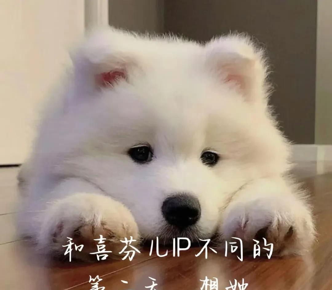 #亚洲龙星光探享HAPPY一夏# 
众所周知的异地恋
是一汽丰田开不到的距离
不