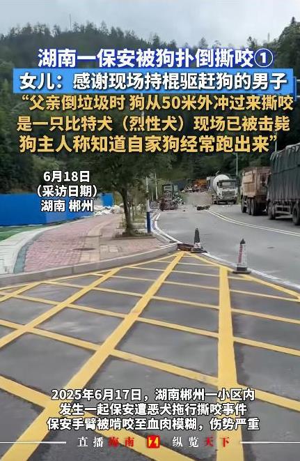 必须严惩！6月17日，湖南，男子出去倒垃圾时，突然冲出一条大狗，将他扑倒在地撕咬