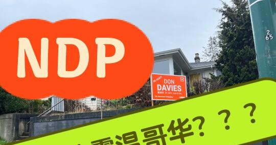 两党或放弃温哥华选区











温哥华一片橙色，难道其他两党真的要放