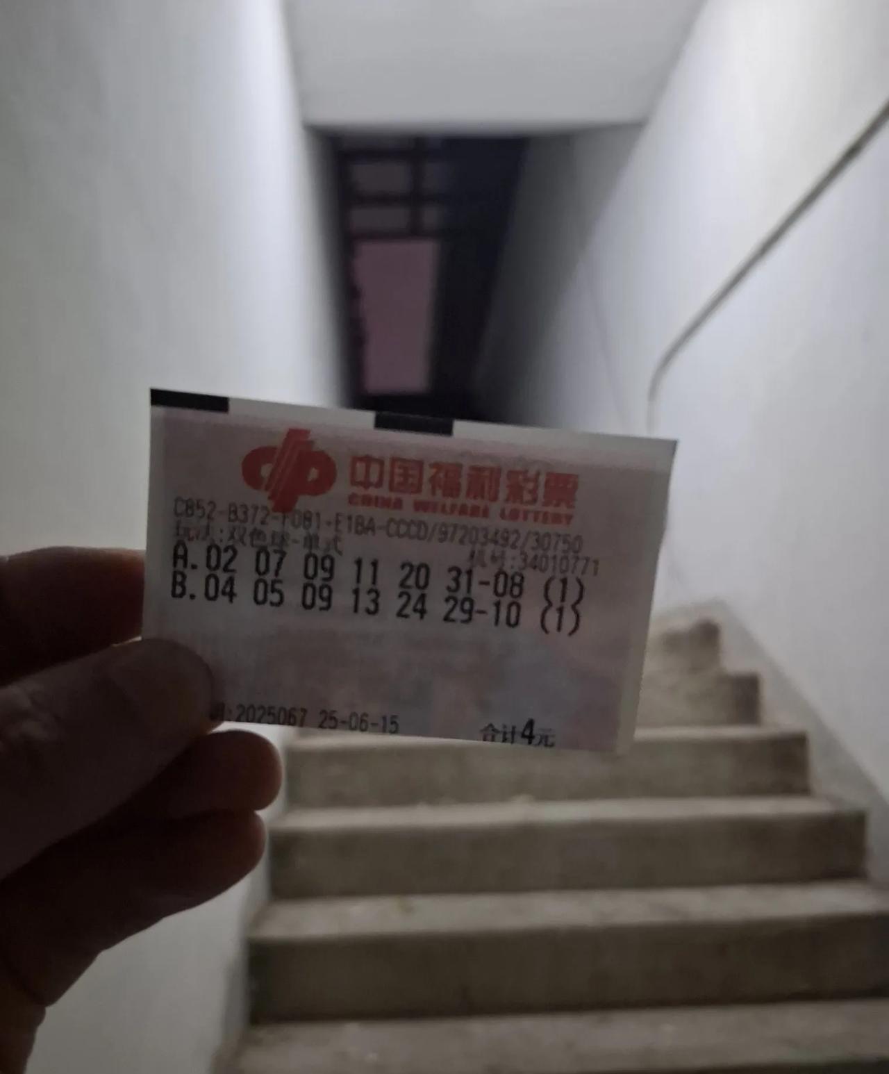 上岸见者有份