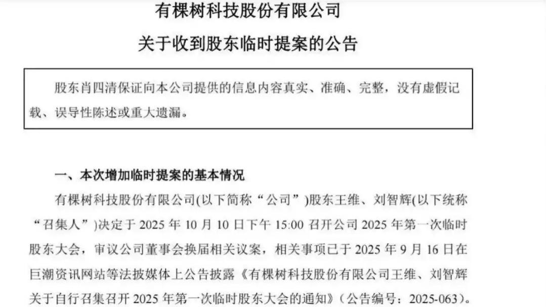 有棵树创始团队全员出局，跨境电商“初代大卖”权力战落幕