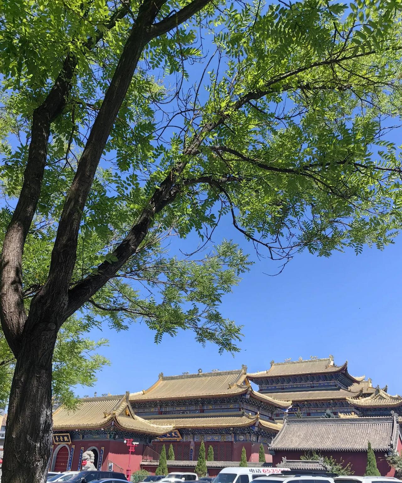 退休生活：旅游结束，聊聊体会。
退休后，时间自由，旅游尽量错峰出行，打时间擦边球