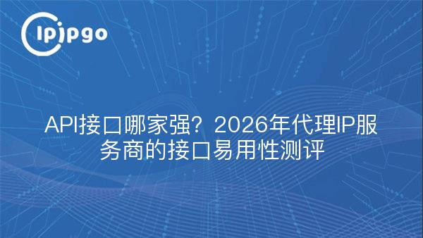 API接口哪家强？2026年代理IP服务商的接口易用性测评