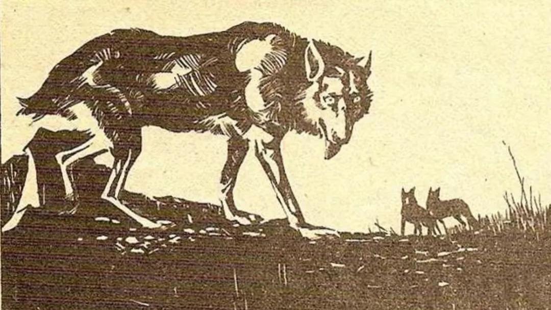 男子山中打猎路遇狐狸讨封，男子：你是神仙，狐狸：送你事事如意